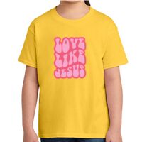 Youth Softstyle ® T Shirt Thumbnail