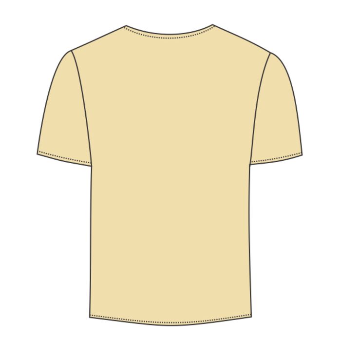 Next Level Men's Premium Fitted Sueded V Thumbnail