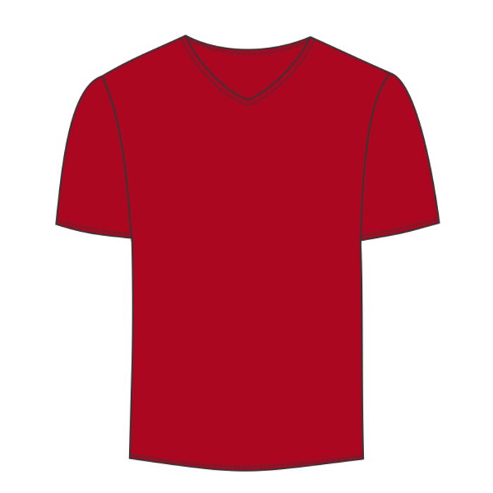 LA T Adult Fine Jersey V-Neck T-Shirt Thumbnail