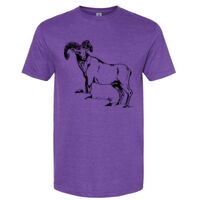 Unisex Softstyle® CVC T-Shirt Thumbnail