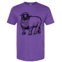 Unisex Softstyle® CVC T-Shirt Thumbnail