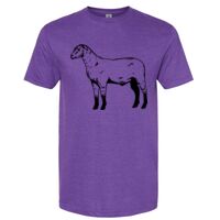 Unisex Softstyle® CVC T-Shirt Thumbnail