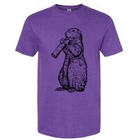 Unisex Softstyle® CVC T-Shirt Thumbnail