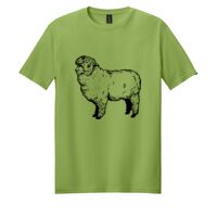 Softstyle ® T Shirt Thumbnail