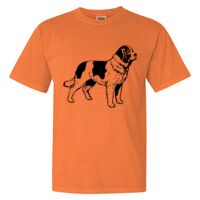 Unisex Garment-Dyed Heavyweight T-Shirt Thumbnail