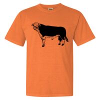 Unisex Garment-Dyed Heavyweight T-Shirt Thumbnail