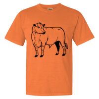 Unisex Garment-Dyed Heavyweight T-Shirt Thumbnail