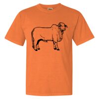 Unisex Garment-Dyed Heavyweight T-Shirt Thumbnail