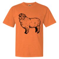 Unisex Garment-Dyed Heavyweight T-Shirt Thumbnail