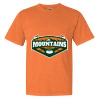 Unisex Garment-Dyed Heavyweight T-Shirt Thumbnail