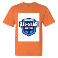 Unisex Garment-Dyed Heavyweight T-Shirt Thumbnail