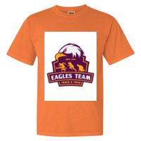 Unisex Garment-Dyed Heavyweight T-Shirt Thumbnail