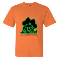 Unisex Garment-Dyed Heavyweight T-Shirt Thumbnail