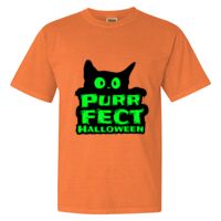 Unisex Garment-Dyed Heavyweight T-Shirt Thumbnail